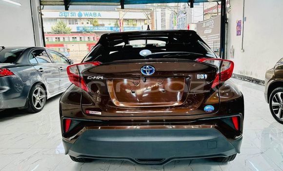 Buy Used 2021 Toyota C-hr in Bagerhat, Khulna Buy Used 2021 Toyota C-hr in Bagerhat, Khulna