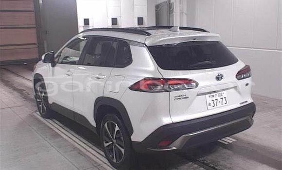 কেনা ব্যবহৃত Toyota 100 wagon Other গাড়ী মধ্যে ঢাকা মধ্যে Dhaka কেনা ব্যবহৃত Toyota 100 wagon Other গাড়ী মধ্যে ঢাকা মধ্যে Dhaka