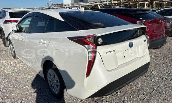 কেনা ব্যবহৃত Toyota Prius Other গাড়ী মধ্যে ঢাকা মধ্যে Dhaka কেনা ব্যবহৃত Toyota Prius Other গাড়ী মধ্যে ঢাকা মধ্যে Dhaka
