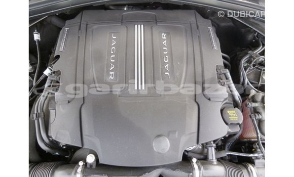 কেনা আমদানি Jaguar F-Pace Black গাড়ী মধ্যে ইম্পোর্ট - দুবাই মধ্যে Bandarban কেনা আমদানি Jaguar F-Pace Black গাড়ী মধ্যে ইম্পোর্ট - দুবাই মধ্যে Bandarban