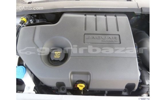 Buy Import 2018 Jaguar E-Pace in Import - Dubai, Bandarban Buy Import 2018 Jaguar E-Pace in Import - Dubai, Bandarban