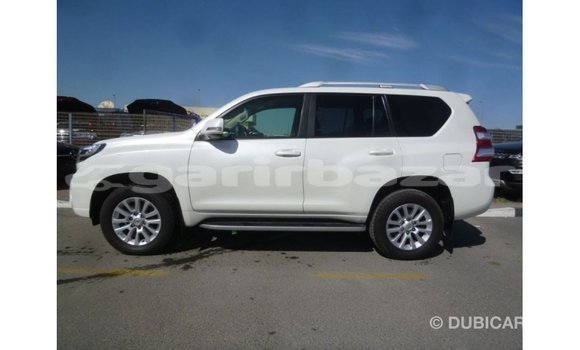 কেনা আমদানি Toyota Prado White গাড়ী মধ্যে ইম্পোর্ট - দুবাই মধ্যে Bandarban কেনা আমদানি Toyota Prado White গাড়ী মধ্যে ইম্পোর্ট - দুবাই মধ্যে Bandarban
