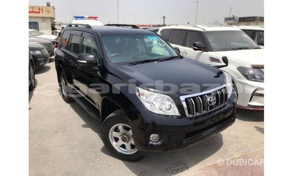 কেনা আমদানি Toyota Prado Black গাড়ী মধ্যে ইম্পোর্ট - দুবাই মধ্যে Bandarban কেনা আমদানি Toyota Prado Black গাড়ী মধ্যে ইম্পোর্ট - দুবাই মধ্যে Bandarban
