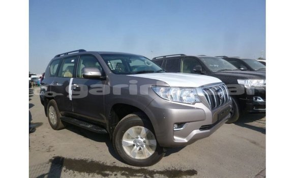 কেনা আমদানি Toyota Prado Other গাড়ী মধ্যে ইম্পোর্ট - দুবাই মধ্যে Bandarban কেনা আমদানি Toyota Prado Other গাড়ী মধ্যে ইম্পোর্ট - দুবাই মধ্যে Bandarban