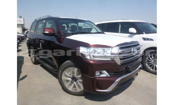 Buy Import 2019 Toyota Land Cruiser in Import - Dubai, Bandarban Buy Import 2019 Toyota Land Cruiser in Import - Dubai, Bandarban