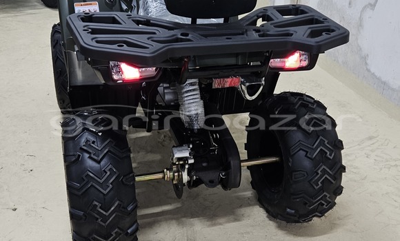 কেনা নতুন Aermacchi Chimera Dark green সাইকেল মধ্যে ঢাকা মধ্যে Dhaka কেনা নতুন Aermacchi Chimera Dark green সাইকেল মধ্যে ঢাকা মধ্যে Dhaka