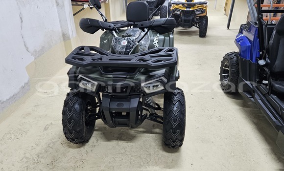 কেনা নতুন Aermacchi Chimera Dark green সাইকেল মধ্যে ঢাকা মধ্যে Dhaka কেনা নতুন Aermacchi Chimera Dark green সাইকেল মধ্যে ঢাকা মধ্যে Dhaka