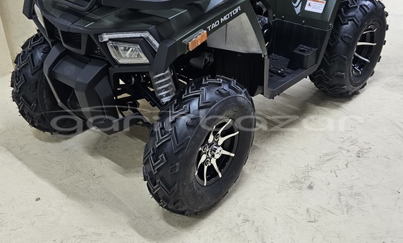 কেনা নতুন Aermacchi Chimera Dark green সাইকেল মধ্যে ঢাকা মধ্যে Dhaka কেনা নতুন Aermacchi Chimera Dark green সাইকেল মধ্যে ঢাকা মধ্যে Dhaka