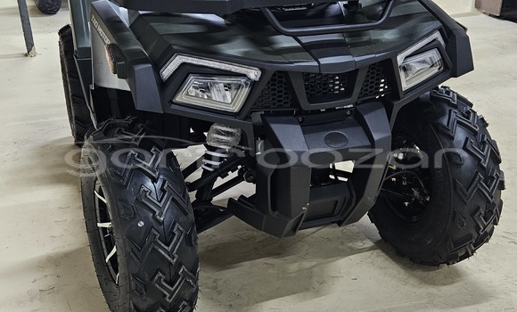 কেনা নতুন Aermacchi Chimera Dark green সাইকেল মধ্যে ঢাকা মধ্যে Dhaka কেনা নতুন Aermacchi Chimera Dark green সাইকেল মধ্যে ঢাকা মধ্যে Dhaka