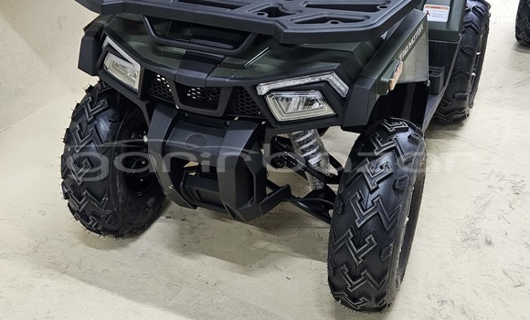 কেনা নতুন Aermacchi Chimera Dark green সাইকেল মধ্যে ঢাকা মধ্যে Dhaka কেনা নতুন Aermacchi Chimera Dark green সাইকেল মধ্যে ঢাকা মধ্যে Dhaka