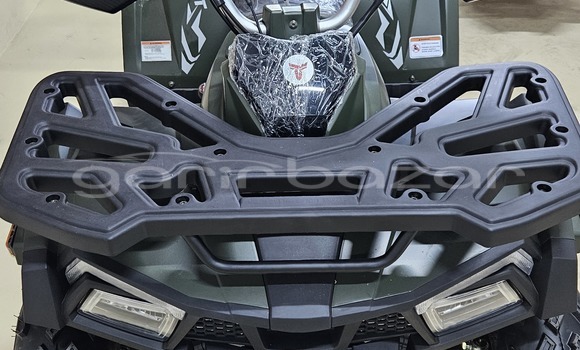 কেনা নতুন Aermacchi Chimera Dark green সাইকেল মধ্যে ঢাকা মধ্যে Dhaka কেনা নতুন Aermacchi Chimera Dark green সাইকেল মধ্যে ঢাকা মধ্যে Dhaka