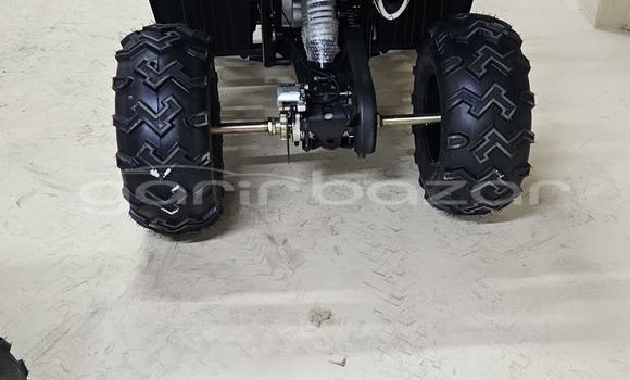 কেনা নতুন Aermacchi Chimera Dark green সাইকেল মধ্যে ঢাকা মধ্যে Dhaka কেনা নতুন Aermacchi Chimera Dark green সাইকেল মধ্যে ঢাকা মধ্যে Dhaka