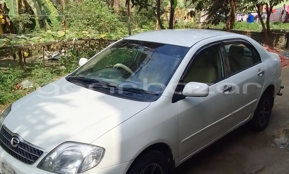 Buy Used 2003 Toyota Corolla x in Dhaka, Dhaka Buy Used 2003 Toyota Corolla x in Dhaka, Dhaka