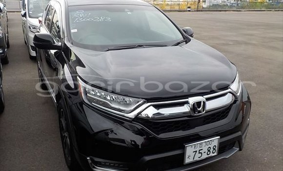 Buy Used 2019 Honda CR-V in Alamdanga, Chuadanga Buy Used 2019 Honda CR-V in Alamdanga, Chuadanga