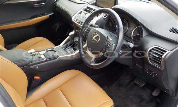 Buy Used 2020 Lexus NX in Bagerhat, Khulna Buy Used 2020 Lexus NX in Bagerhat, Khulna