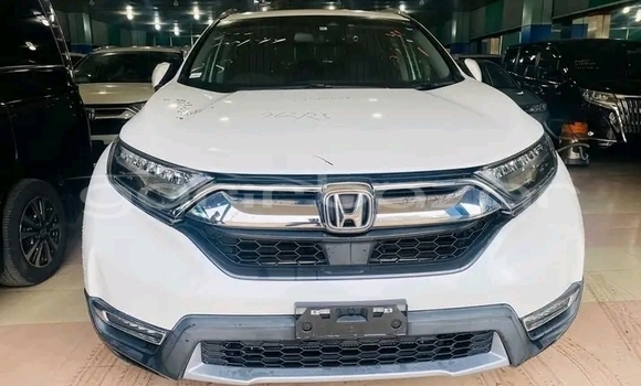 কেনা ব্যবহৃত Honda CR-V White গাড়ী মধ্যে বান্দরবান মধ্যে Bandarban কেনা ব্যবহৃত Honda CR-V White গাড়ী মধ্যে বান্দরবান মধ্যে Bandarban