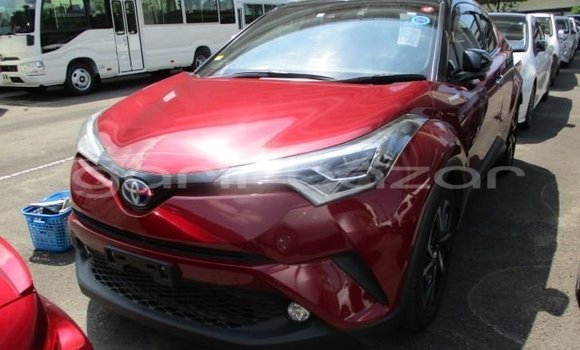 Buy Used 2021 Toyota c-hr in Bagerhat, Khulna Buy Used 2021 Toyota c-hr in Bagerhat, Khulna