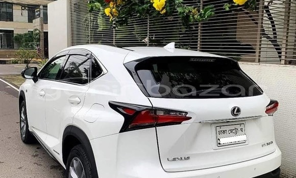 Buy Used 2021 Lexus NX in Badarganj, Rangpur Buy Used 2021 Lexus NX in Badarganj, Rangpur
