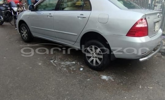 কেনা ব্যবহৃত Toyota corolla Other গাড়ী মধ্যে বাগেরহাট মধ্যে Khulna কেনা ব্যবহৃত Toyota corolla Other গাড়ী মধ্যে বাগেরহাট মধ্যে Khulna