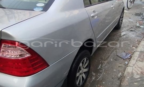 কেনা ব্যবহৃত Toyota corolla Other গাড়ী মধ্যে বাগেরহাট মধ্যে Khulna কেনা ব্যবহৃত Toyota corolla Other গাড়ী মধ্যে বাগেরহাট মধ্যে Khulna