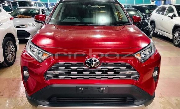 কেনা ব্যবহৃত Toyota RAV4 Red গাড়ী মধ্যে বদরগঞ্জ মধ্যে Rangpur কেনা ব্যবহৃত Toyota RAV4 Red গাড়ী মধ্যে বদরগঞ্জ মধ্যে Rangpur