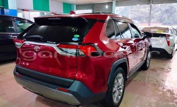 কেনা ব্যবহৃত Toyota RAV4 Red গাড়ী মধ্যে বদরগঞ্জ মধ্যে Rangpur কেনা ব্যবহৃত Toyota RAV4 Red গাড়ী মধ্যে বদরগঞ্জ মধ্যে Rangpur