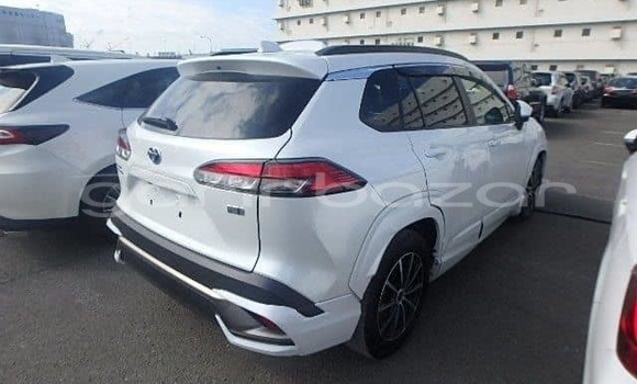 Buy Used 2021 Toyota corolla in Dhaka, Dhaka Buy Used 2021 Toyota corolla in Dhaka, Dhaka