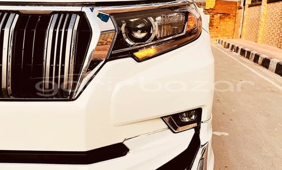 কেনা ব্যবহৃত Toyota land cruiser-prado White গাড়ী মধ্যে বাগেরহাট মধ্যে Khulna কেনা ব্যবহৃত Toyota land cruiser-prado White গাড়ী মধ্যে বাগেরহাট মধ্যে Khulna