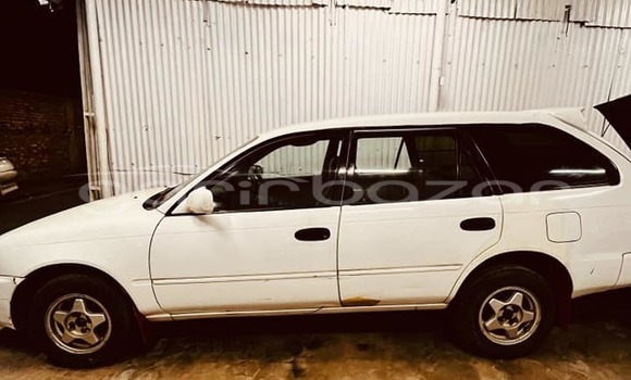 কেনা ব্যবহৃত Toyota 100 wagon White গাড়ী মধ্যে বাজিতপুর মধ্যে Kishorganj কেনা ব্যবহৃত Toyota 100 wagon White গাড়ী মধ্যে বাজিতপুর মধ্যে Kishorganj
