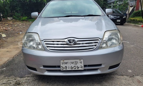 কেনা ব্যবহৃত Toyota corolla x Other গাড়ী মধ্যে আলমডাঙ্গা মধ্যে Chuadanga কেনা ব্যবহৃত Toyota corolla x Other গাড়ী মধ্যে আলমডাঙ্গা মধ্যে Chuadanga