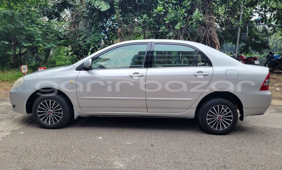 কেনা ব্যবহৃত Toyota corolla x Other গাড়ী মধ্যে আলমডাঙ্গা মধ্যে Chuadanga কেনা ব্যবহৃত Toyota corolla x Other গাড়ী মধ্যে আলমডাঙ্গা মধ্যে Chuadanga