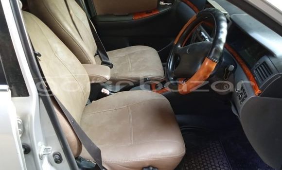 Buy Used 2022 Toyota Corolla x in Bagerhat, Khulna Buy Used 2022 Toyota Corolla x in Bagerhat, Khulna