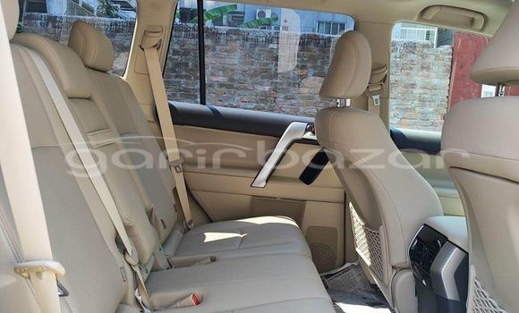 Buy Used 2021 Toyota land cruiser-prado in Bagerhat, Khulna Buy Used 2021 Toyota land cruiser-prado in Bagerhat, Khulna