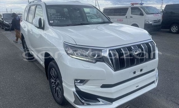 কেনা ব্যবহৃত Toyota Land Cruiser White গাড়ী মধ্যে আলমডাঙ্গা মধ্যে Chuadanga কেনা ব্যবহৃত Toyota Land Cruiser White গাড়ী মধ্যে আলমডাঙ্গা মধ্যে Chuadanga