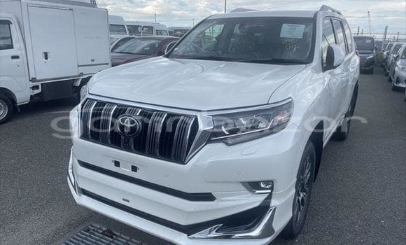 কেনা ব্যবহৃত Toyota Land Cruiser White গাড়ী মধ্যে আলমডাঙ্গা মধ্যে Chuadanga কেনা ব্যবহৃত Toyota Land Cruiser White গাড়ী মধ্যে আলমডাঙ্গা মধ্যে Chuadanga