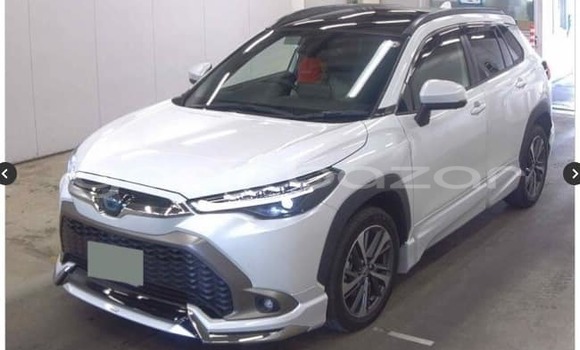 কেনা ব্যবহৃত Toyota corolla White গাড়ী মধ্যে বাগেরহাট মধ্যে Khulna কেনা ব্যবহৃত Toyota corolla White গাড়ী মধ্যে বাগেরহাট মধ্যে Khulna