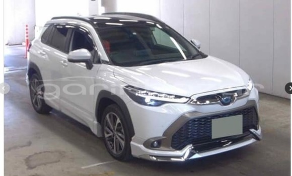 কেনা ব্যবহৃত Toyota corolla White গাড়ী মধ্যে বাগেরহাট মধ্যে Khulna কেনা ব্যবহৃত Toyota corolla White গাড়ী মধ্যে বাগেরহাট মধ্যে Khulna