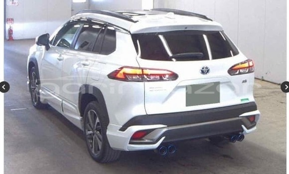 কেনা ব্যবহৃত Toyota corolla White গাড়ী মধ্যে বাগেরহাট মধ্যে Khulna কেনা ব্যবহৃত Toyota corolla White গাড়ী মধ্যে বাগেরহাট মধ্যে Khulna