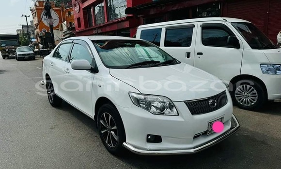 কেনা ব্যবহৃত Toyota axio White গাড়ী মধ্যে বাজিতপুর মধ্যে Kishorganj কেনা ব্যবহৃত Toyota axio White গাড়ী মধ্যে বাজিতপুর মধ্যে Kishorganj