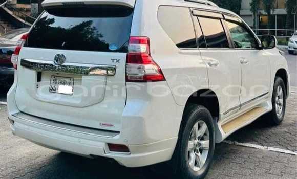 কেনা ব্যবহৃত Toyota Land Cruiser White গাড়ী মধ্যে বাজিতপুর মধ্যে Kishorganj কেনা ব্যবহৃত Toyota Land Cruiser White গাড়ী মধ্যে বাজিতপুর মধ্যে Kishorganj