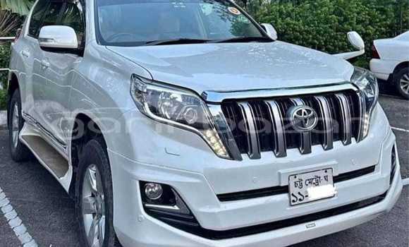 কেনা ব্যবহৃত Toyota Land Cruiser White গাড়ী মধ্যে বাজিতপুর মধ্যে Kishorganj কেনা ব্যবহৃত Toyota Land Cruiser White গাড়ী মধ্যে বাজিতপুর মধ্যে Kishorganj