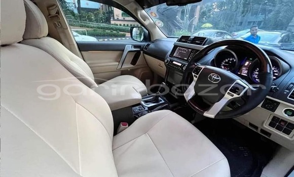 কেনা ব্যবহৃত Toyota Voxy Other গাড়ী মধ্যে বাগেরহাট মধ্যে Khulna কেনা ব্যবহৃত Toyota Voxy Other গাড়ী মধ্যে বাগেরহাট মধ্যে Khulna