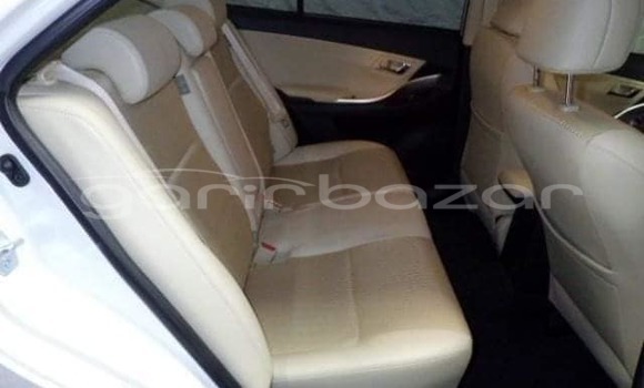 Buy Used 2022 Toyota F premio in Bagerhat, Khulna Buy Used 2022 Toyota F premio in Bagerhat, Khulna