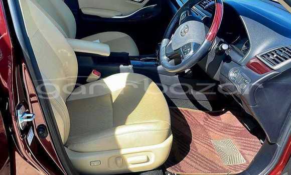 Buy Used 2020 Toyota F premio in Bajitpur, Kishorganj Buy Used 2020 Toyota F premio in Bajitpur, Kishorganj