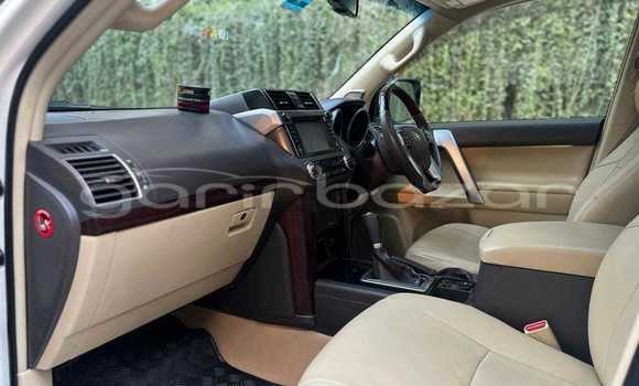 Buy Used 2021 Toyota land cruiser-prado in Badarganj, Rangpur Buy Used 2021 Toyota land cruiser-prado in Badarganj, Rangpur