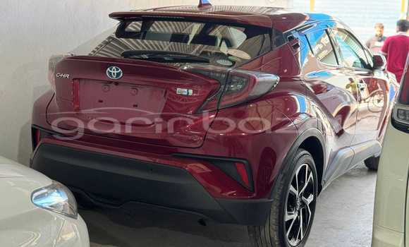 Buy Used 2021 Toyota C-HR in Bajitpur, Kishorganj Buy Used 2021 Toyota C-HR in Bajitpur, Kishorganj
