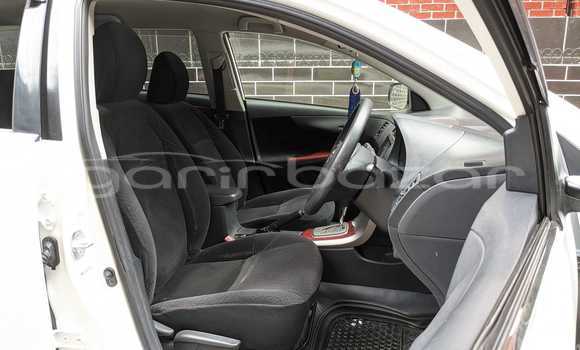 Buy Used 2021 Toyota axio fielder in Bagerhat, Khulna Buy Used 2021 Toyota axio fielder in Bagerhat, Khulna