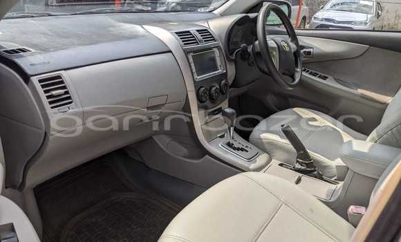 Buy Used 2021 Toyota Axio in Bandarban, Bandarban Buy Used 2021 Toyota Axio in Bandarban, Bandarban