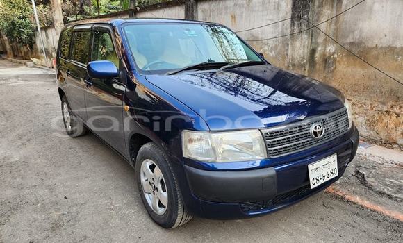 কেনা ব্যবহৃত Toyota Probox Blue গাড়ী মধ্যে বাগেরহাট মধ্যে Khulna কেনা ব্যবহৃত Toyota Probox Blue গাড়ী মধ্যে বাগেরহাট মধ্যে Khulna