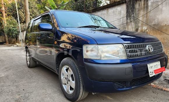 কেনা ব্যবহৃত Toyota Probox Blue গাড়ী মধ্যে বাগেরহাট মধ্যে Khulna কেনা ব্যবহৃত Toyota Probox Blue গাড়ী মধ্যে বাগেরহাট মধ্যে Khulna